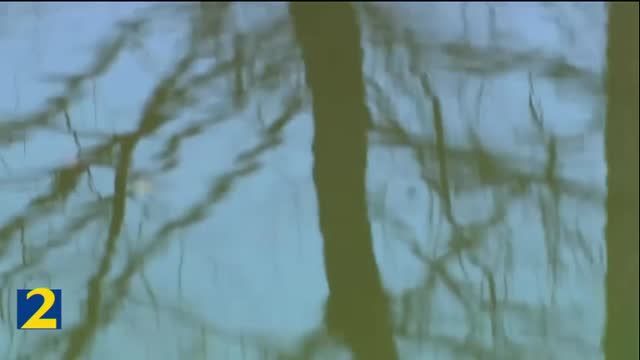 clip