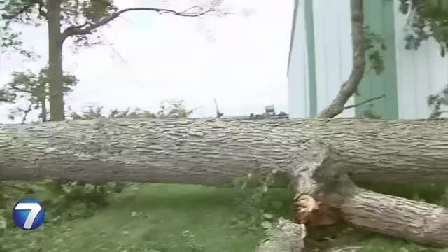 clip