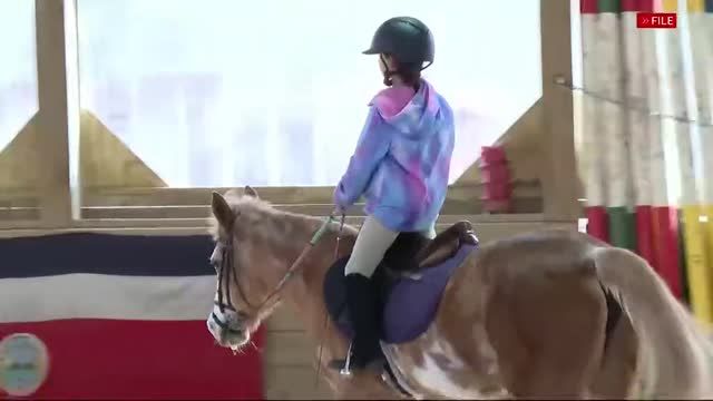 clip