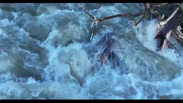 clip