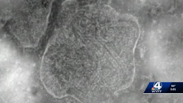 clip