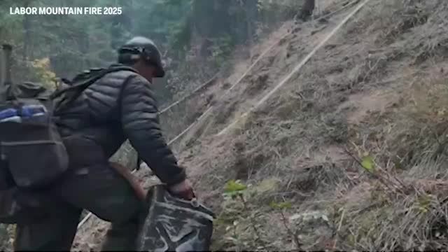 clip