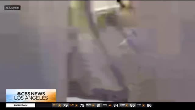 clip