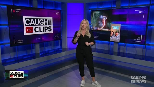 clip
