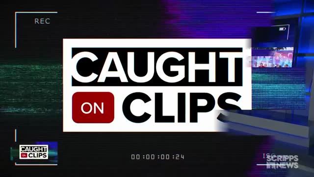 clip