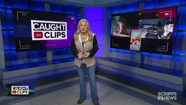clip