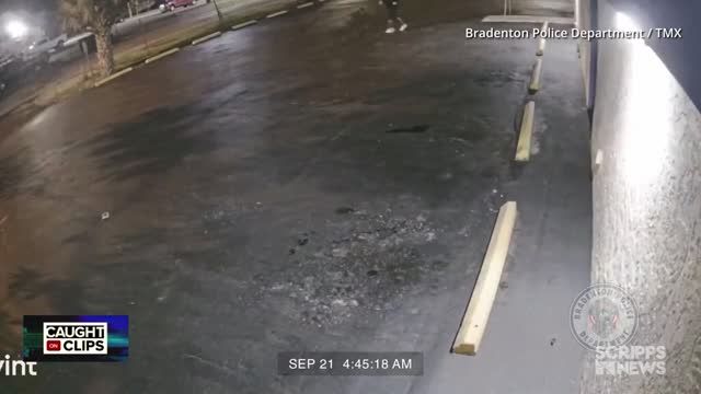 clip