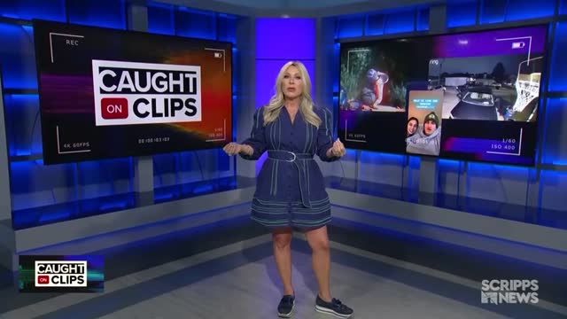 clip