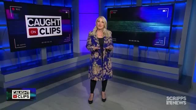 clip