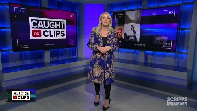 clip