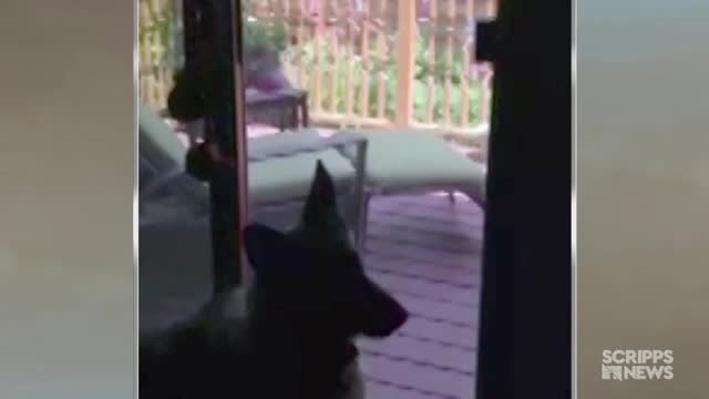 clip