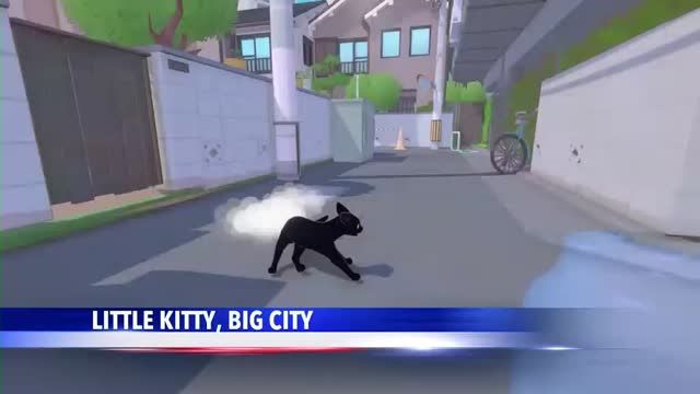 clip