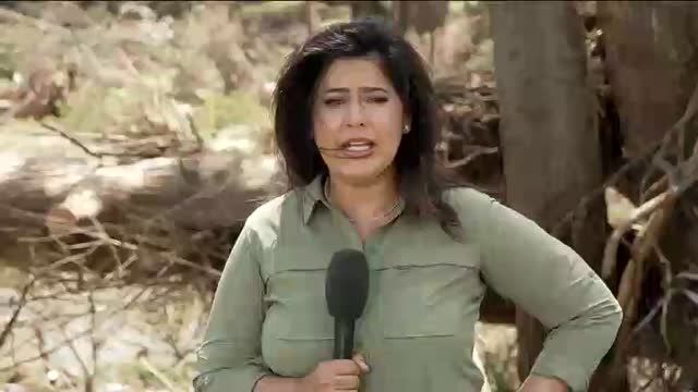 clip