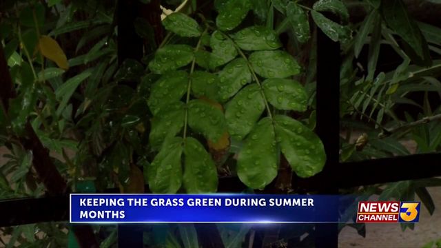 clip