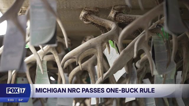 clip