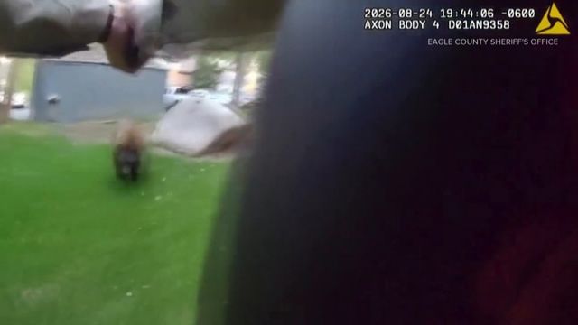 clip