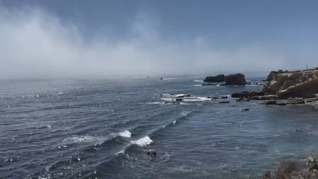clip