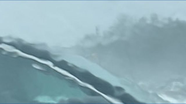 clip