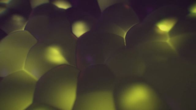 clip