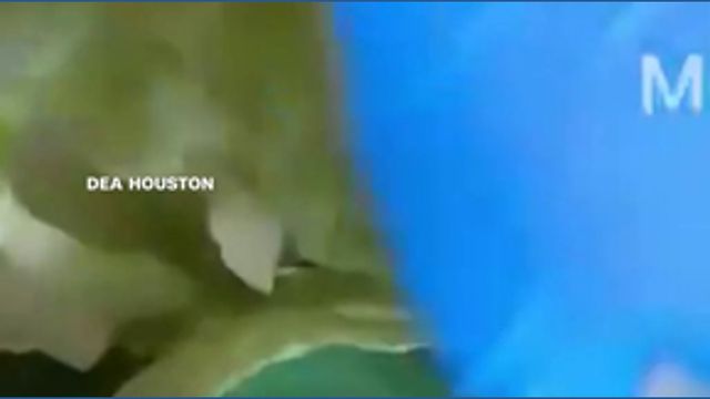 clip