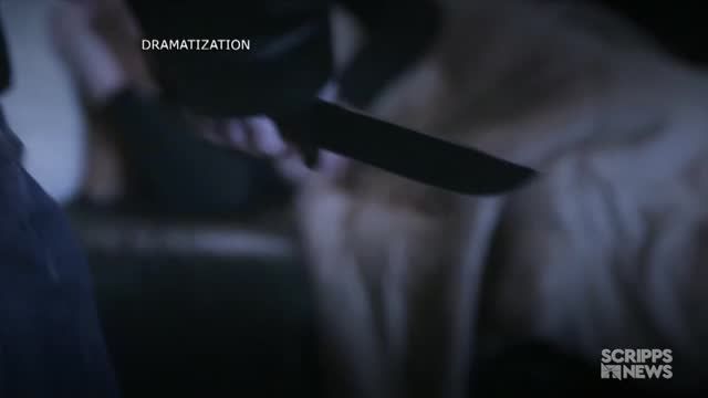 clip