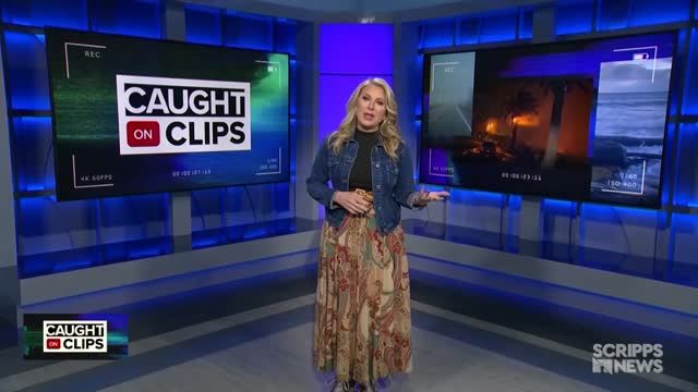clip
